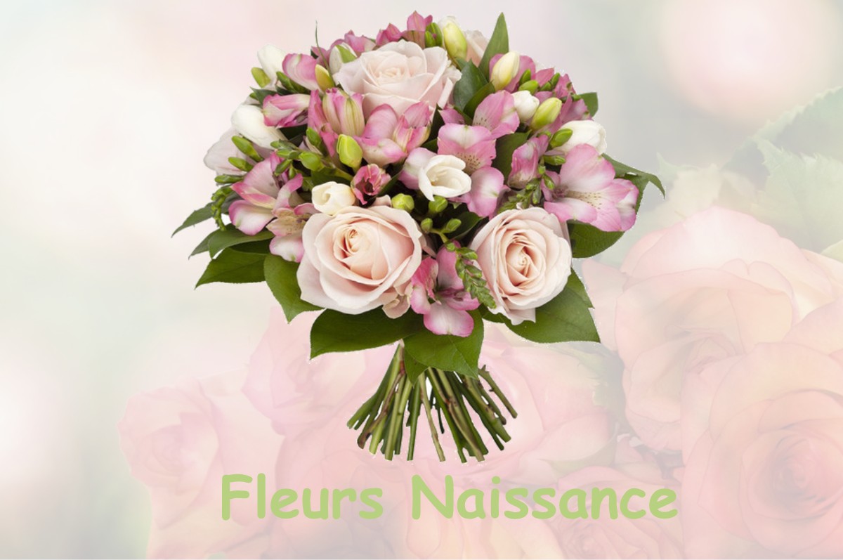 fleurs naissance SAUX-ET-POMAREDE