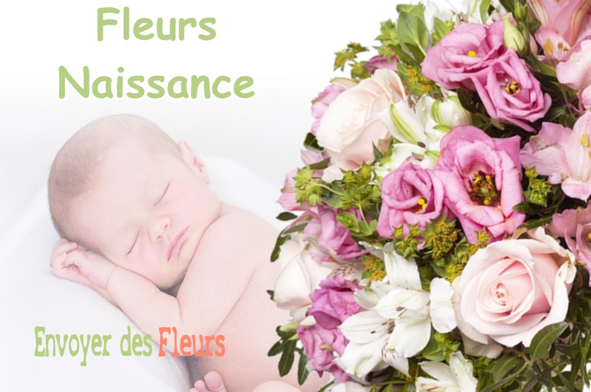 lIVRAISON FLEURS NAISSANCE à SAUX-ET-POMAREDE